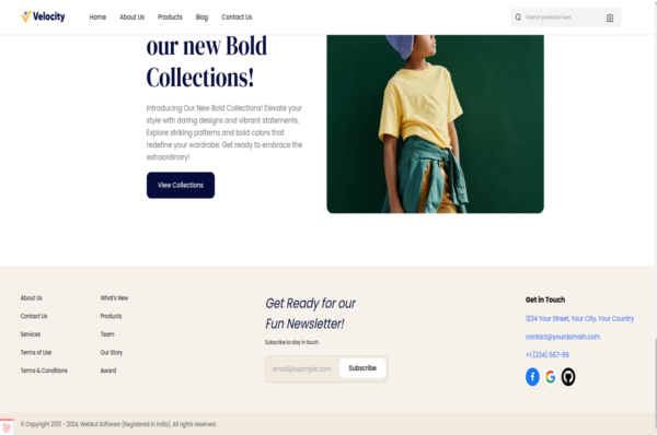Bagisto ConvertStoreToWeb