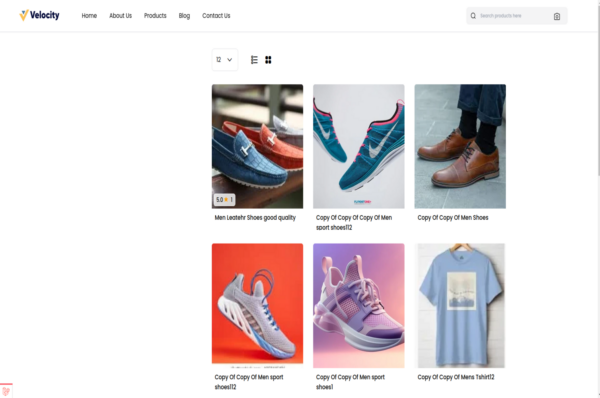 Bagisto ConvertStoreToWeb
