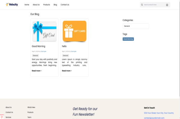 Bagisto ConvertStoreToWeb