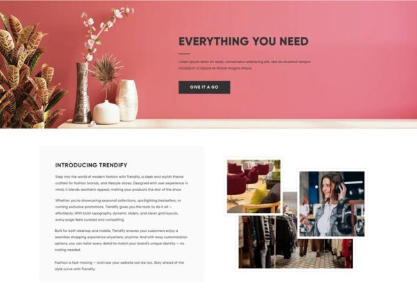 Trendify Shop Theme